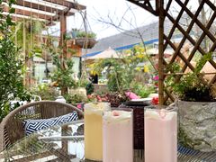 -大隐花事(熊婆婆的花园店)