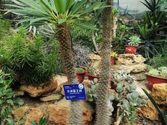 -国家植物园南园