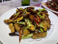 干煸蚕蛹-小海丁