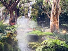 -Chom Cafe and Restaurant