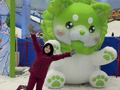 -广州热雪奇迹