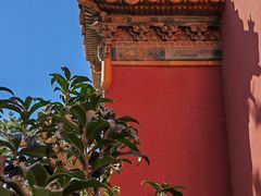 -北京市劳动人民文化宫
