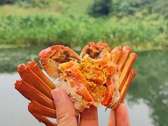 -欢乐蟹庄·精品农家乐(阳澄湖莲花岛店)