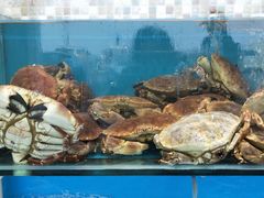 -港畔赶海蒸汽海鲜烧烤自助(仙螺岛店)