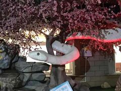 -榕记(番禺总店)