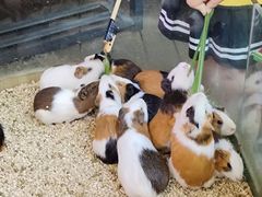 -正佳雨林生态植物园