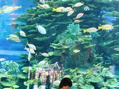 -泉城欧乐堡梦幻世界