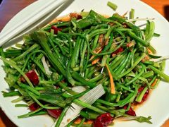 -菌自由丨野生菌火锅特色庭院餐厅(丽江古城店)