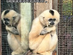 -昆明动物园