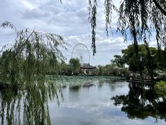 -无锡蠡湖国家湿地公园-蠡园