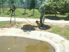 -西安秦岭野生动物园