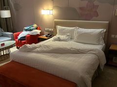 -北京广安门维景国际大酒店