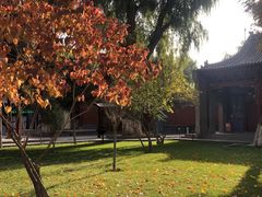 -张掖大佛寺景区