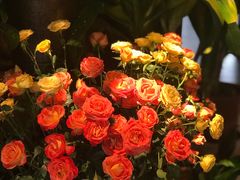 -春暖花开(西溪店)