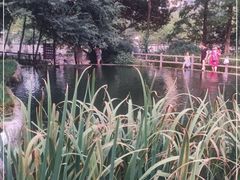 -成都市活水公园