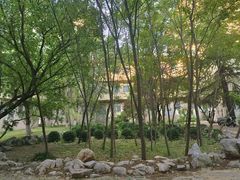 -山东师范大学(千佛山校区)