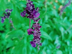 -长春公园(普阳街道)