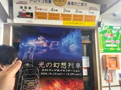 -岚山嵯峨野观光小火车