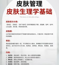点击看大图 -玛莲朵·海菲秀冰珀科