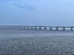-南汇新城海滩