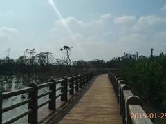 -东寨港红树林旅游区