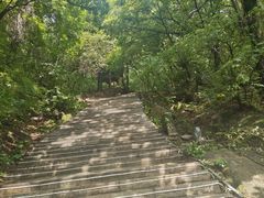 -吉林市朱雀山国家森林公园