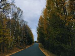 -塞罕坝国家级自然保护区