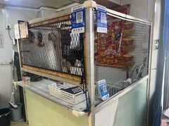 -国营大冷面饭店