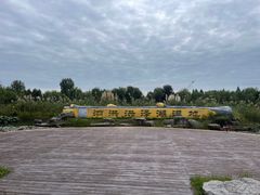 -泗洪洪泽湖湿地景区