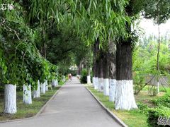 -哈尔滨文化公园