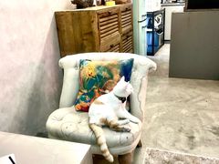 -nodcafe(M50创意园店)