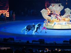 -广州长隆国际大马戏