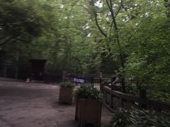 -南京国际会议大酒店