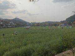 -红山村
