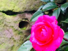 -龙井壹号·茶缘山景宴(龙井村店)