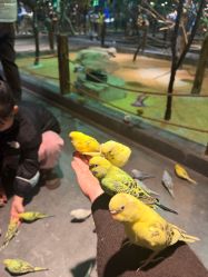 -酷嗒动物文化乐园(cutezoo西溪乐天城店)