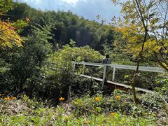 -宁波浙东大竹海景区