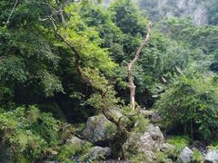 -夏霖九天银瀑风景区