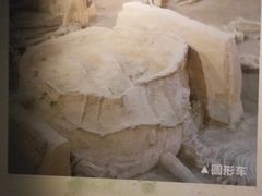 -洛阳周王城天子驾六博物馆