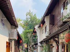 -西湖外事游船(花港观鱼码头)