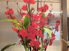 -鑫小城故事·藕汤·家常菜(台北一路总店)