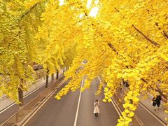 -四川大学(望江校区)