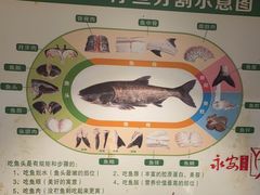 -永安水煮活鱼·仪征土菜院子