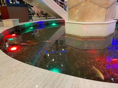 -碧中海汤泉汗蒸酒店