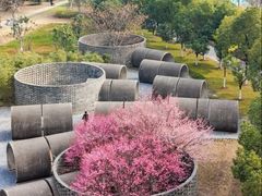 -武汉园博园(武汉自然博物馆)