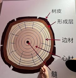 -文旺阁亲子手工DIY木作博物馆