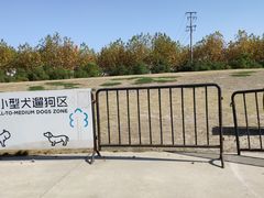 -栖露营camping·天幕烧烤·团建拓展·采摘营地