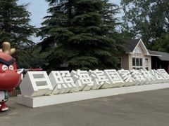 -日照海滨国家森林公园