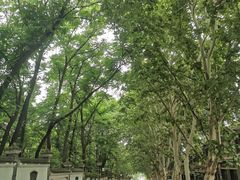-西安关中民俗艺术博物院