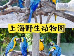 -上海野生动物园